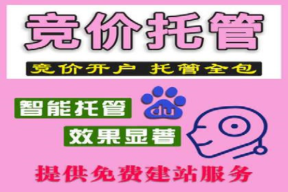 SEM优化公司实战案例：如何精准投放广告